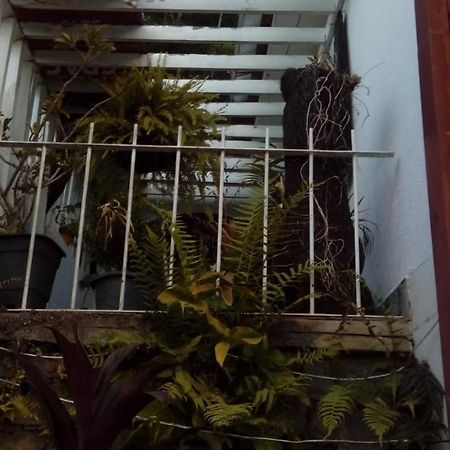 Hostel Mdemarilia ノバ・フリブルゴ エクステリア 写真